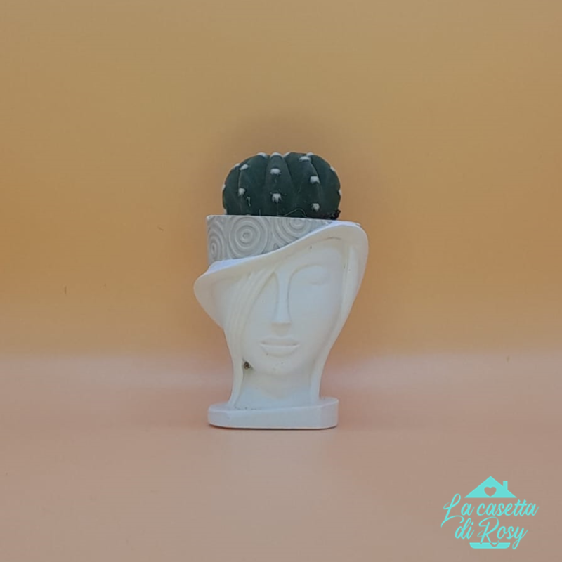 vasetto bomboniera con piantina grassa Fantin